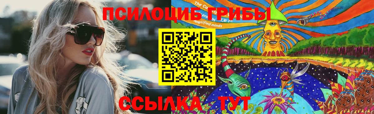 Галлюциногенные грибы GOLDEN TEACHER Моздок