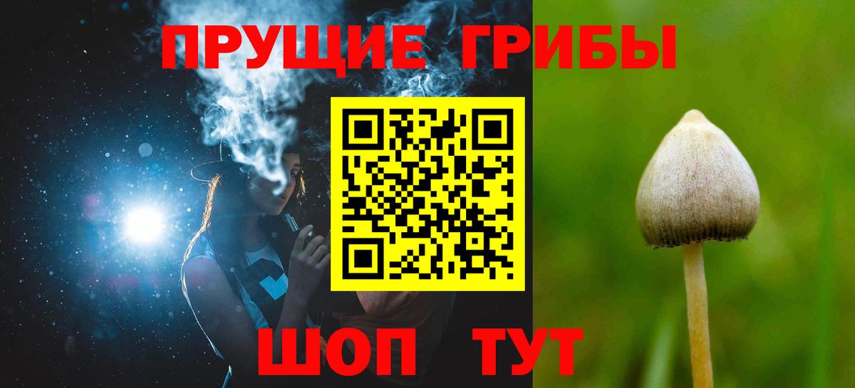Псилоцибиновые грибы прущие грибы  Вход с VPN  магазин продажи   Моздок 
