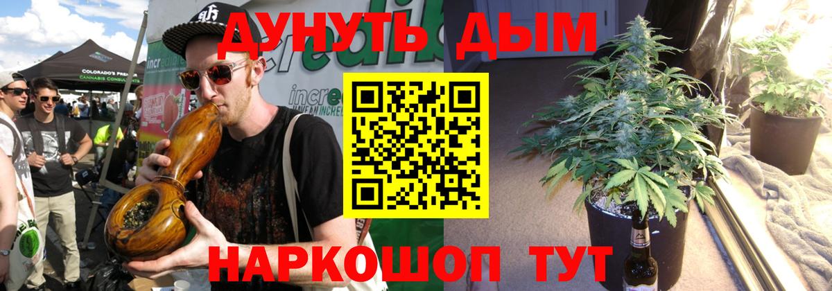 Конопля конопля  Вход с VPN  Моздок  Конопля ГИДРОПОН 